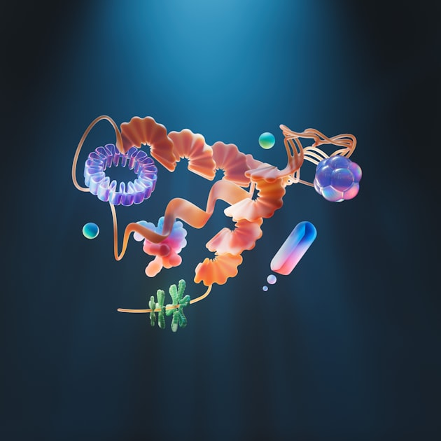 Understanding Modular Peptides